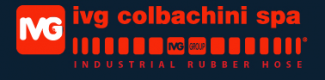 ivg_colbachini logo